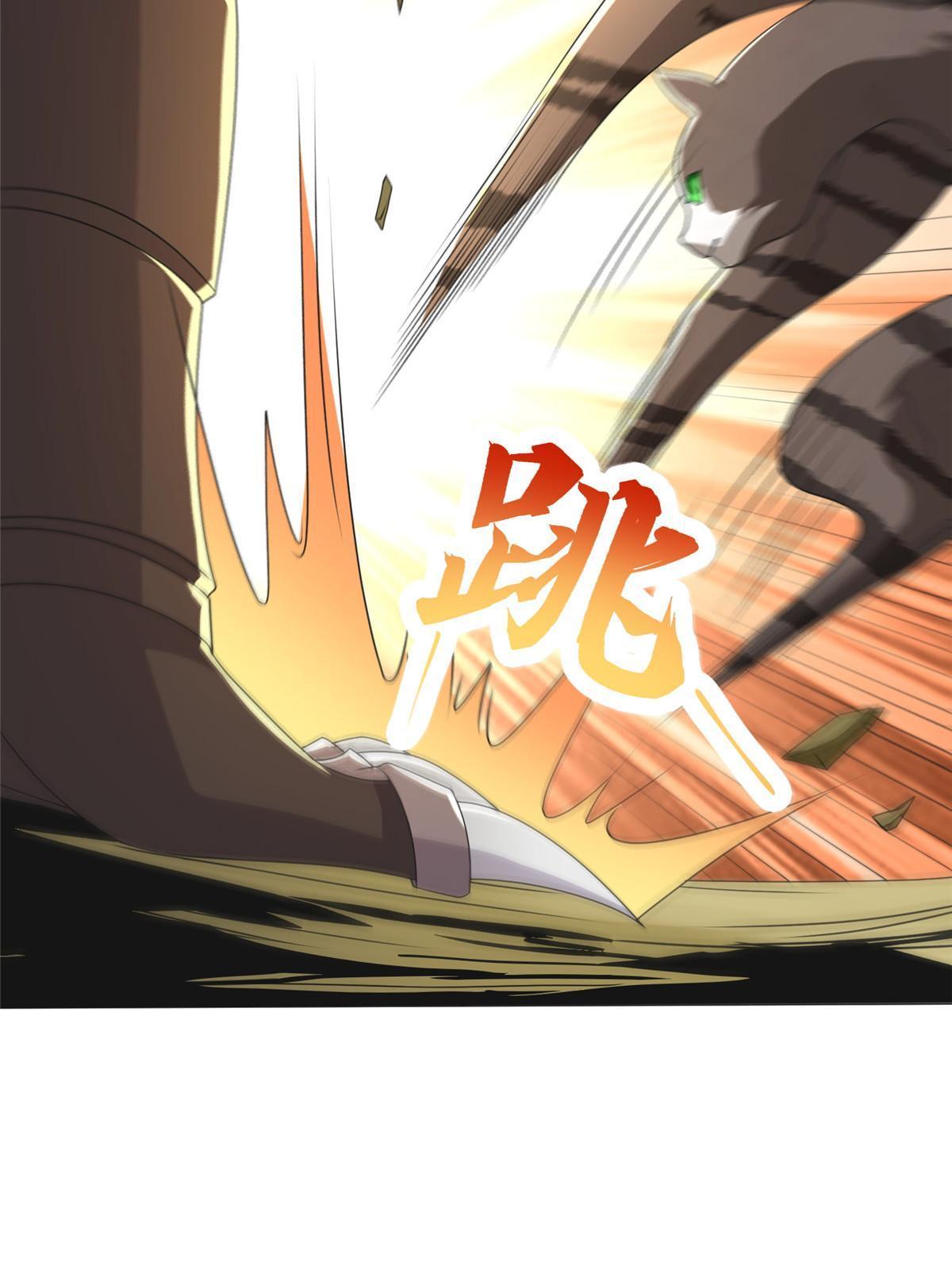 172 孽兽花猫15