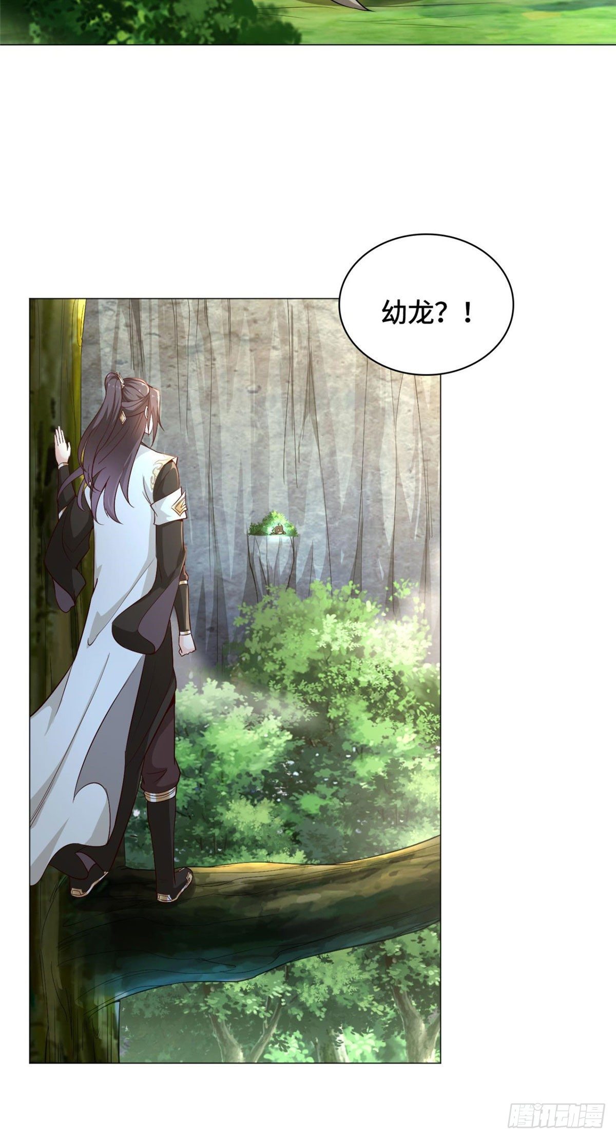 24 森林幼龙30