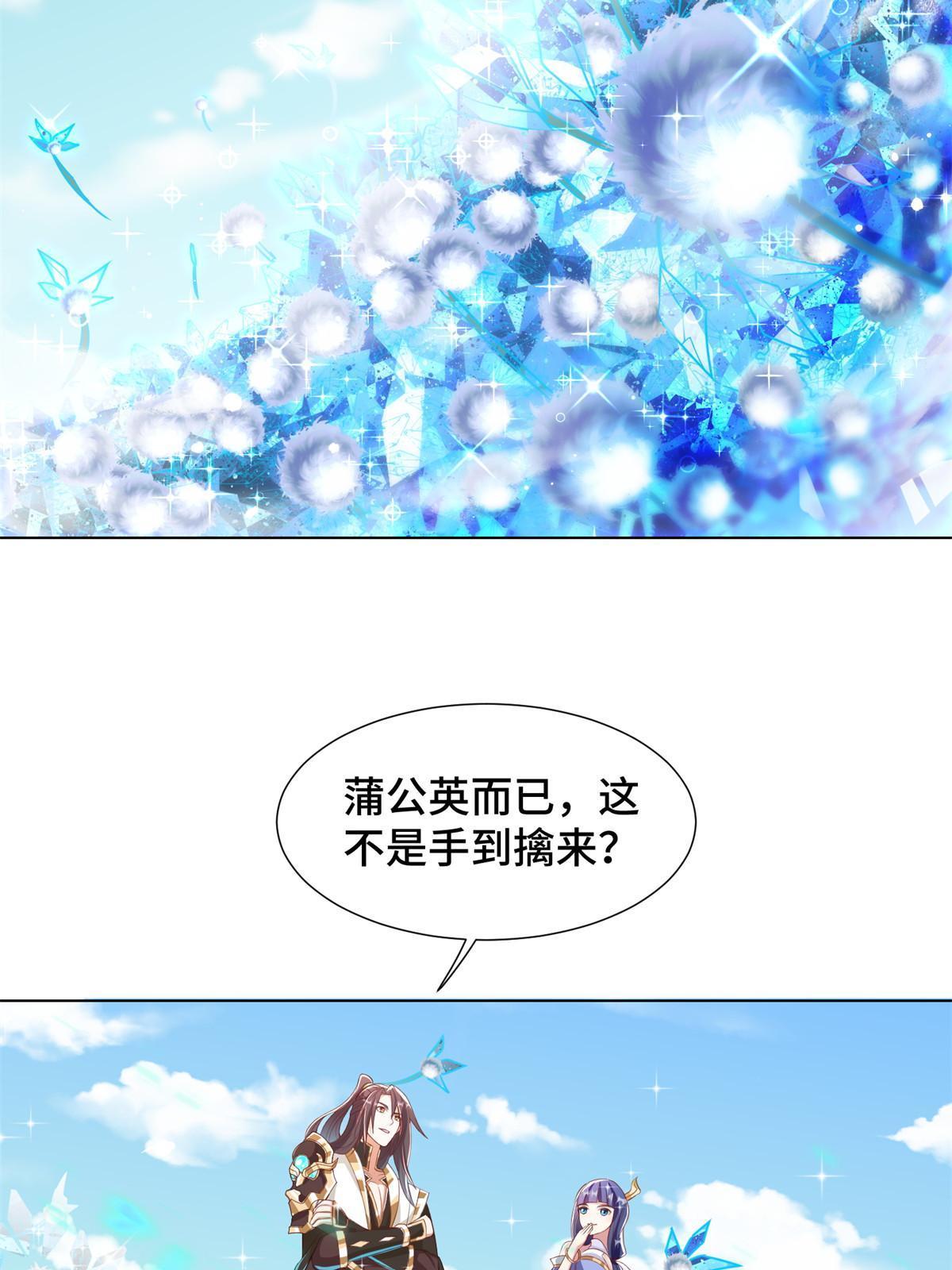 231 风晶蒲公英23