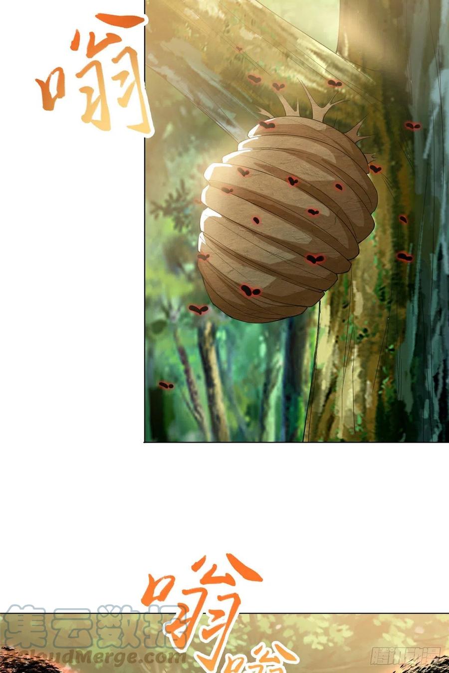 74 捅榕蜂窝28