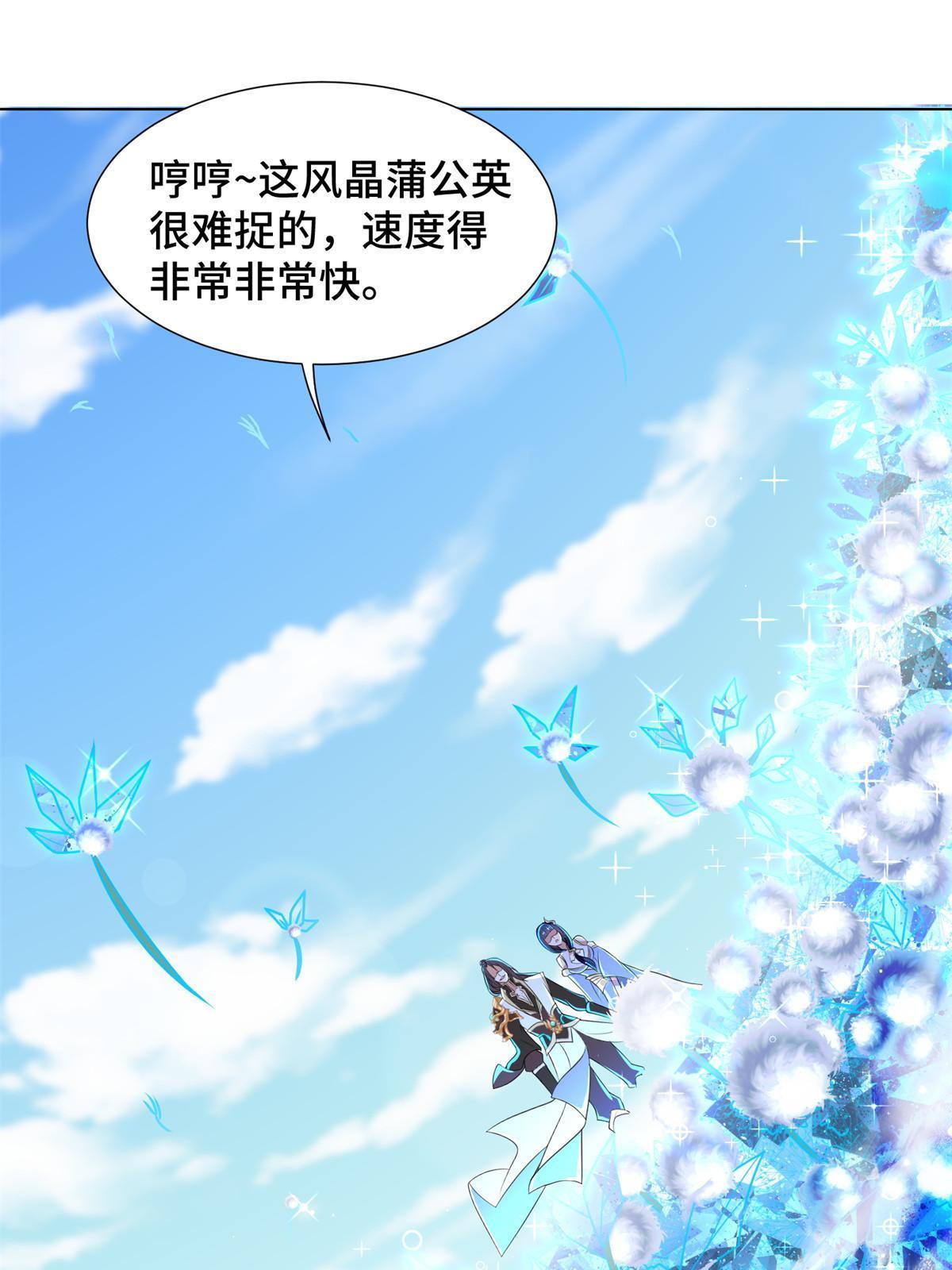 231 风晶蒲公英22