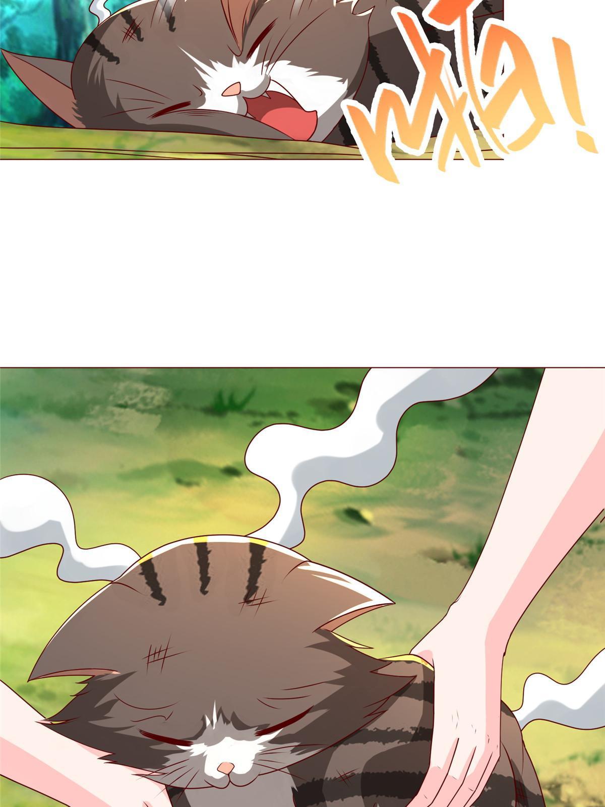 172 孽兽花猫25