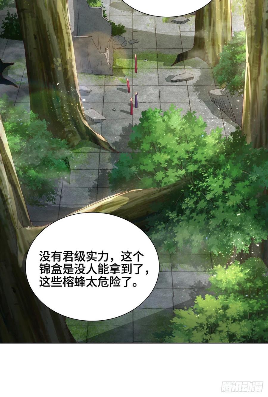 74 捅榕蜂窝17