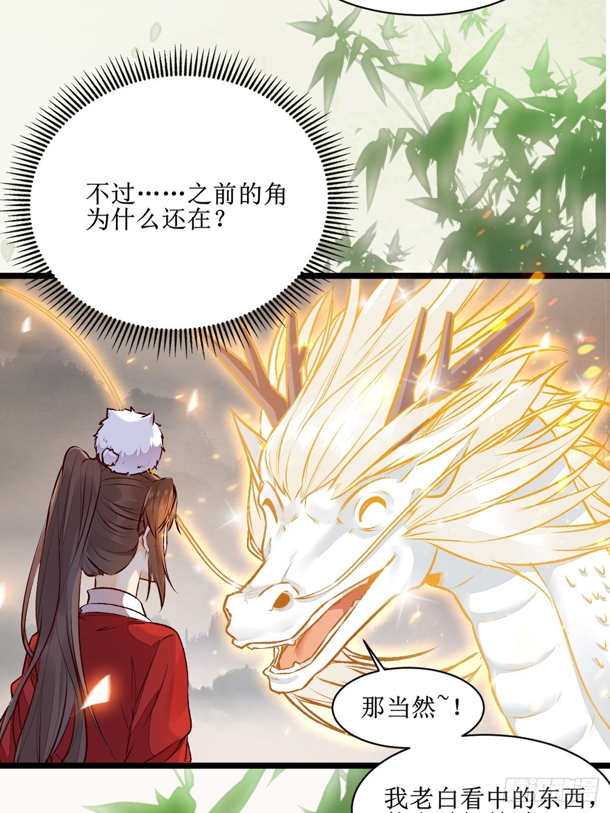 老白进阶！30