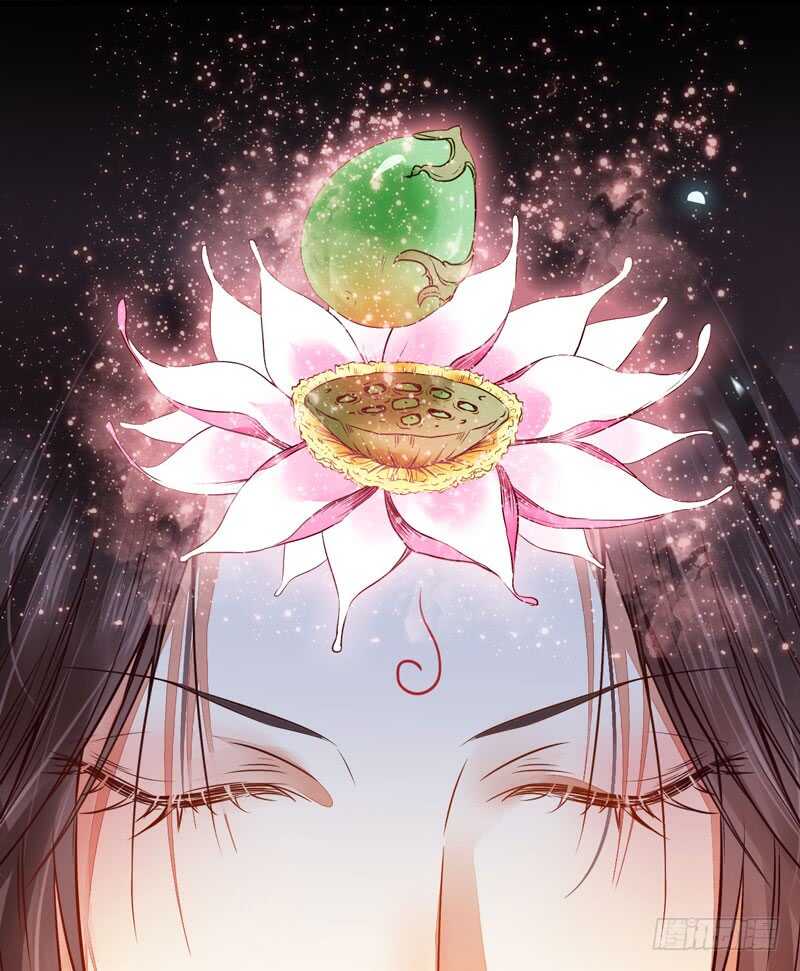 混沌青莲16