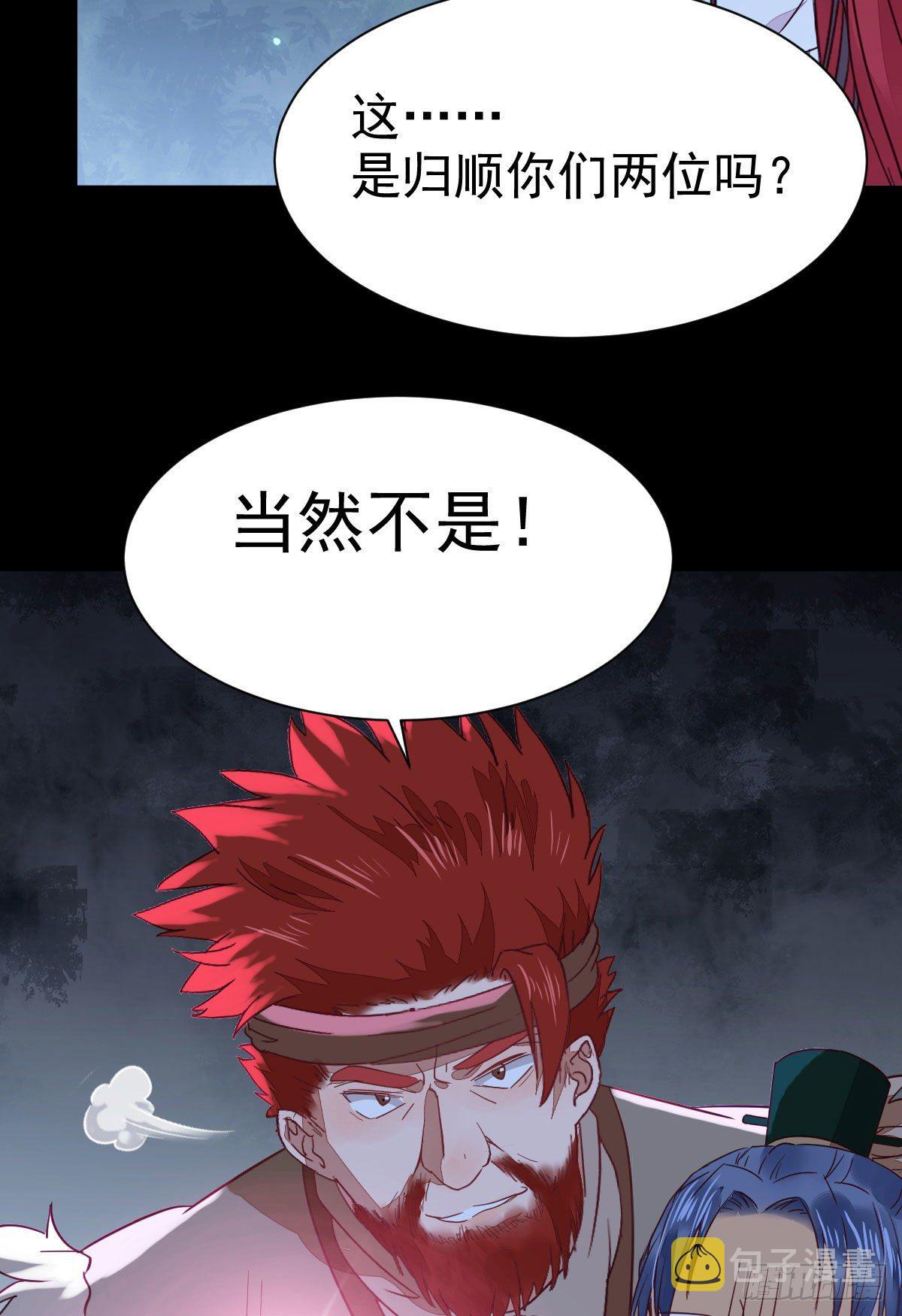 玉面狐狸20