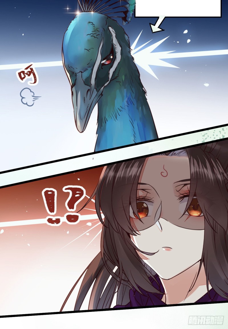 孔雀变烤鸡21