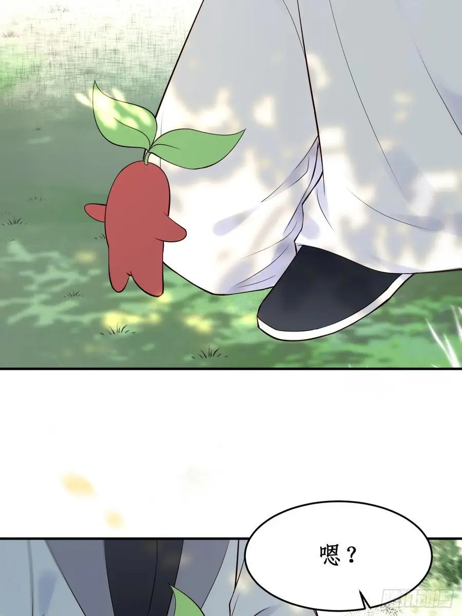 607 神仙草37