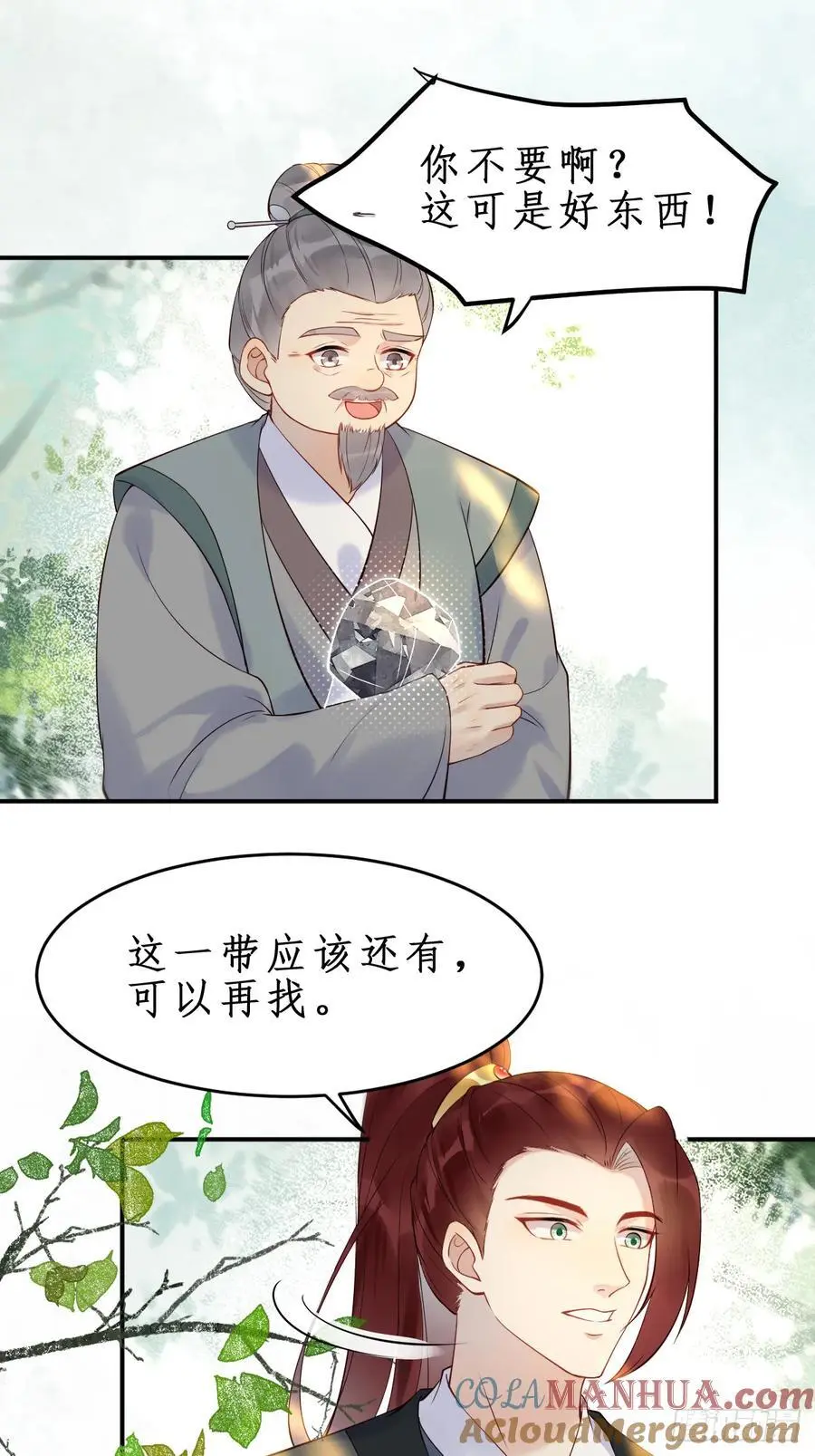 607 神仙草26