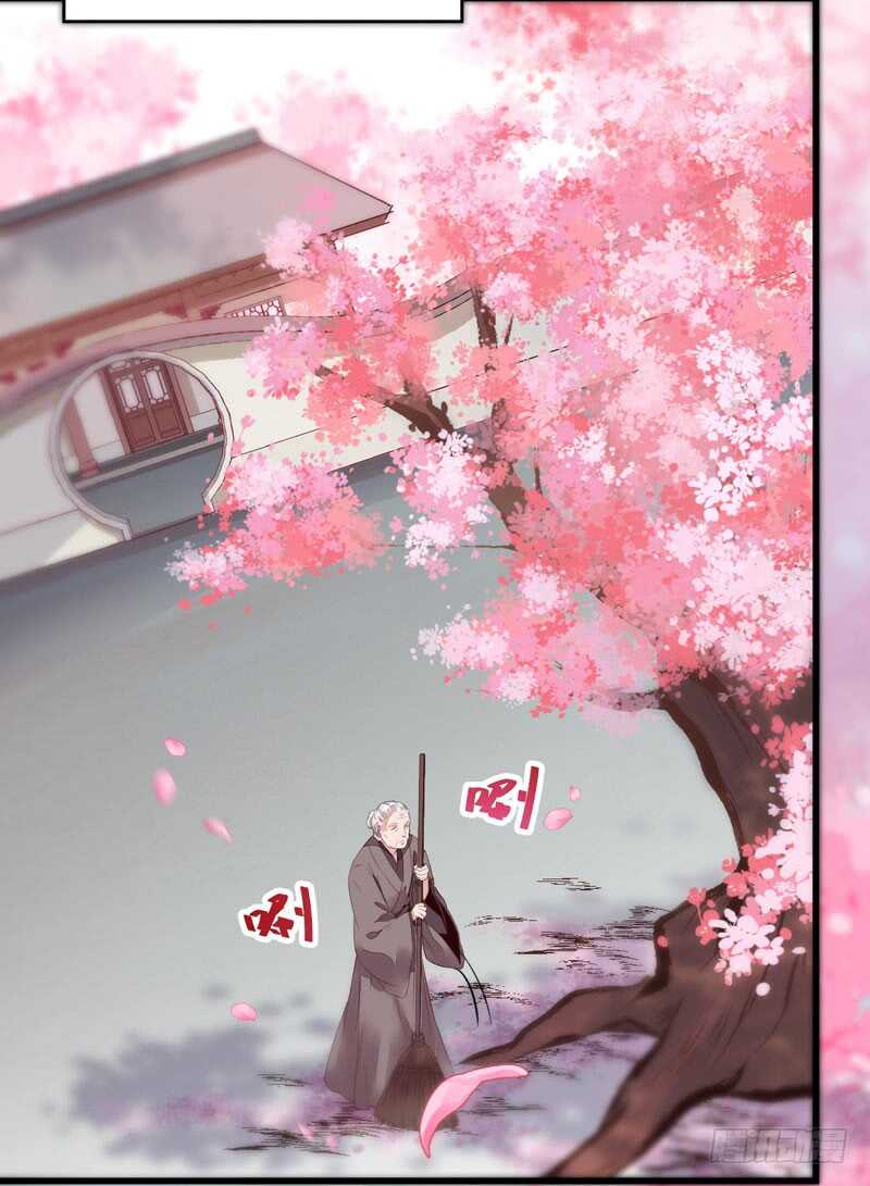 寿元丹成20