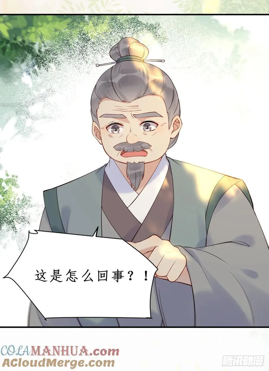 607 神仙草40