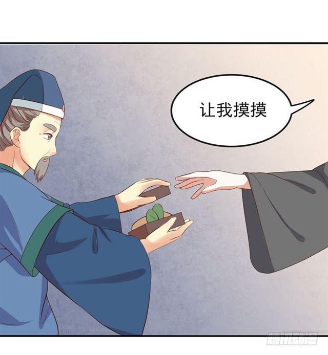 好大一只“鸟”9