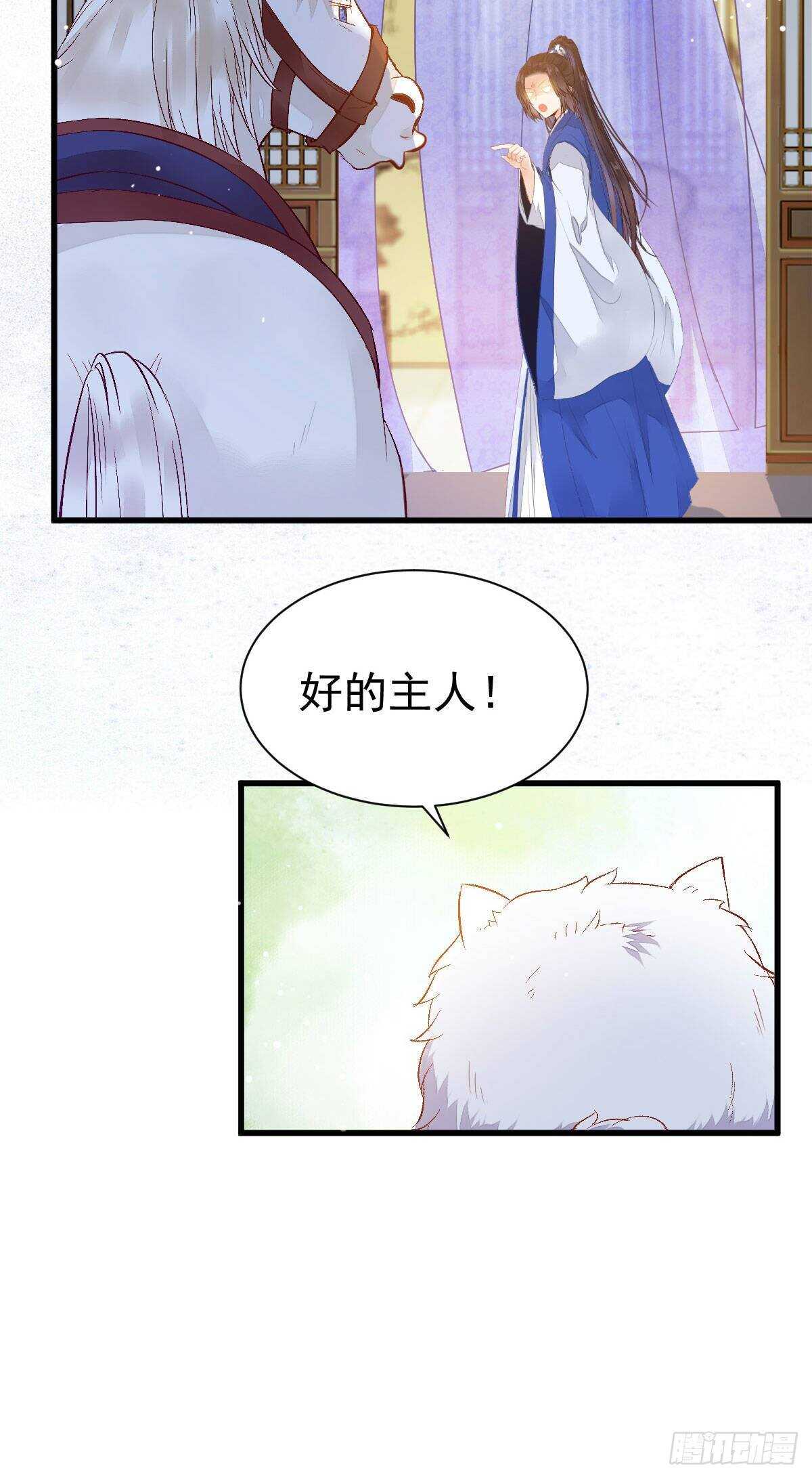 老白开口说人话12