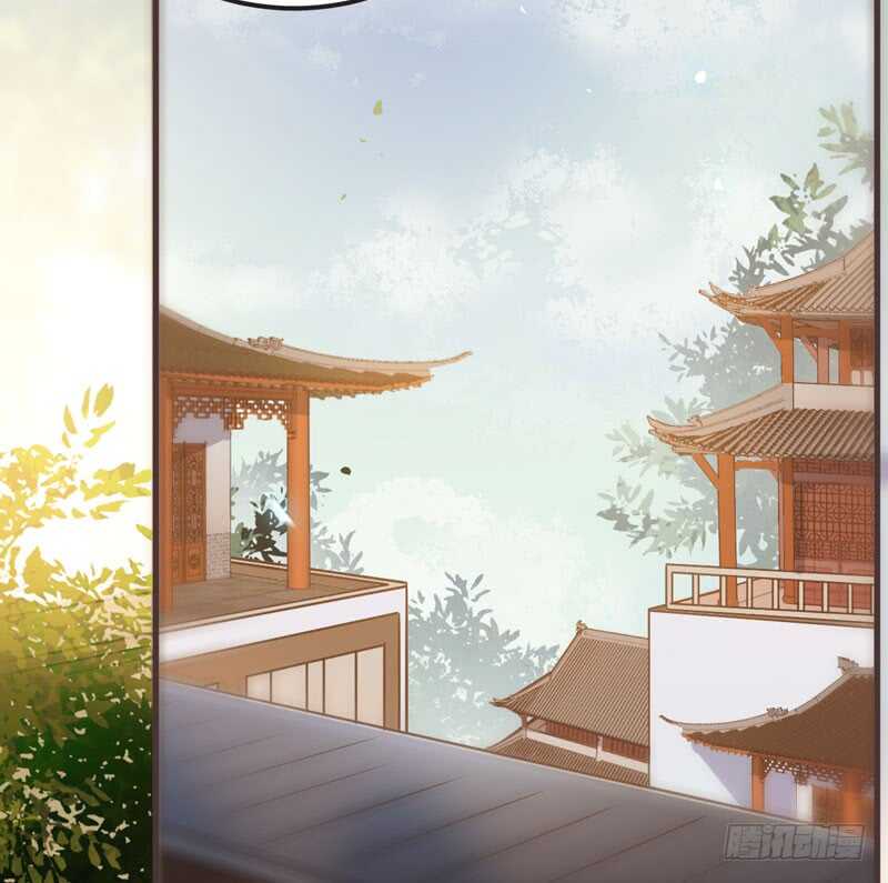 混沌青莲56