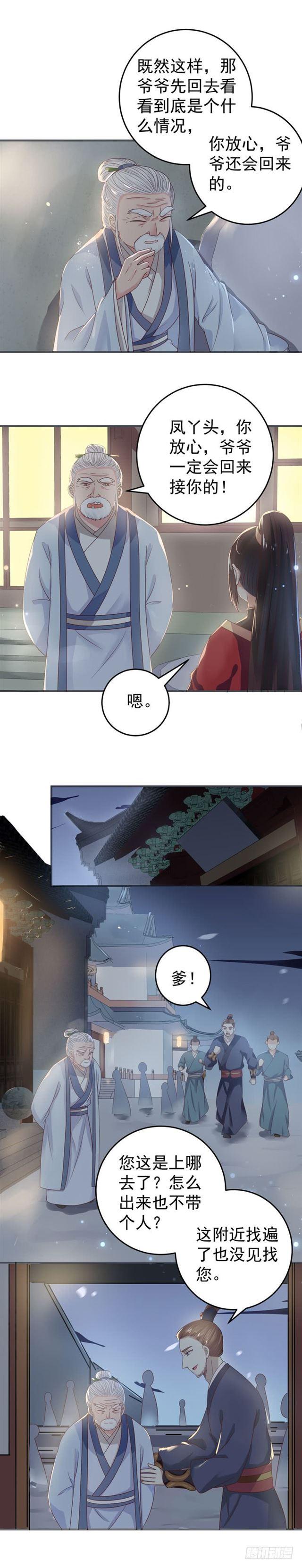 真假凤7