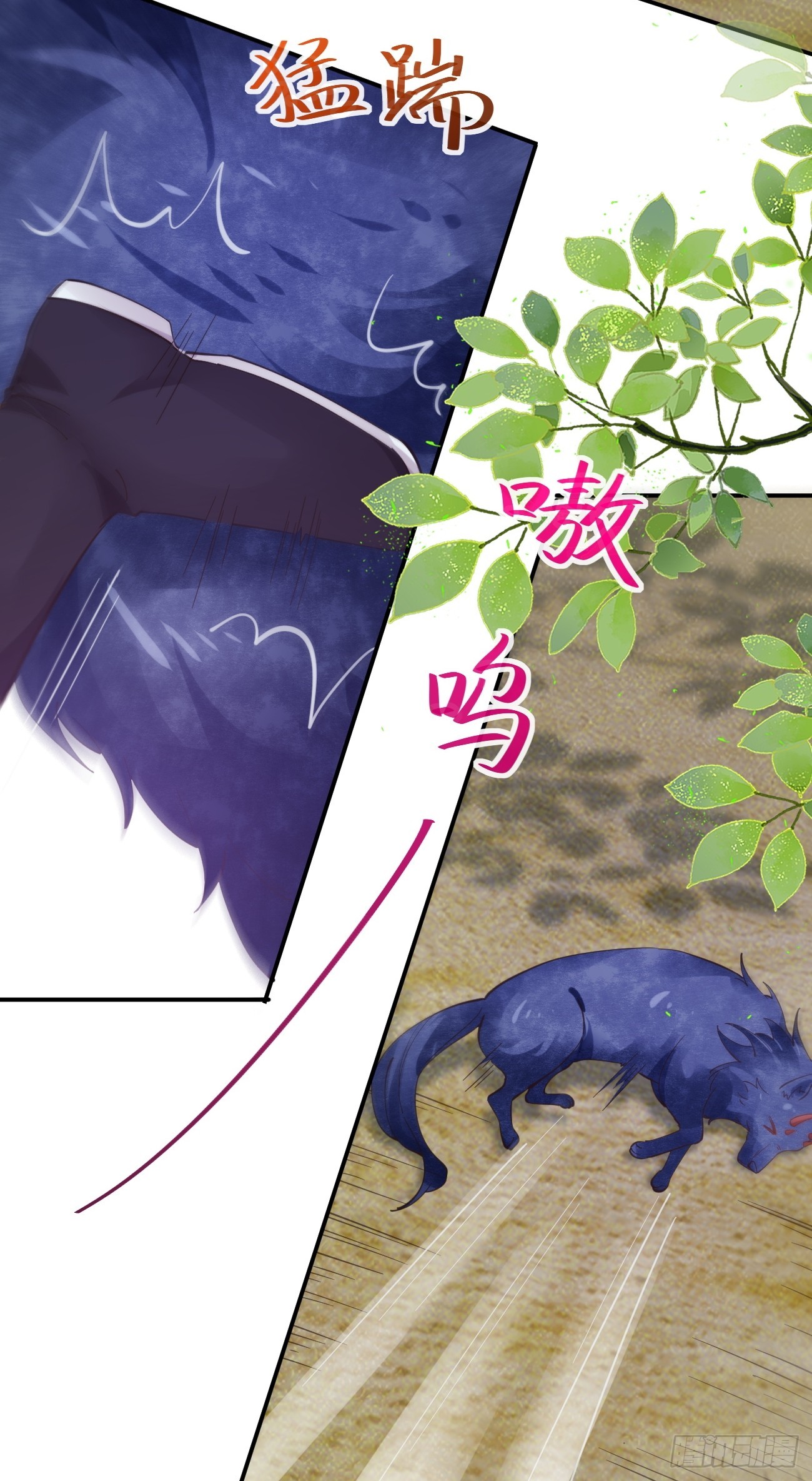 545有猫腻11