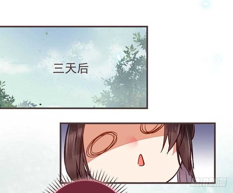 混沌青莲33