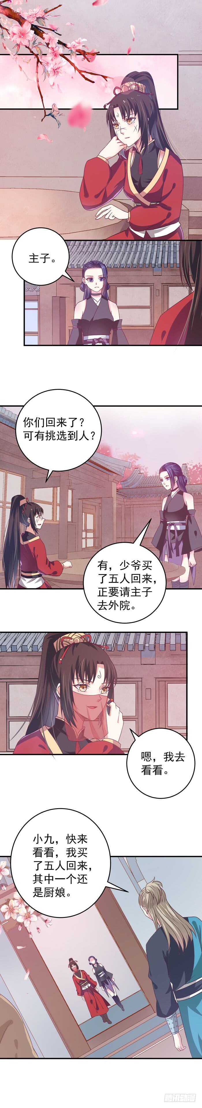 真假凤311
