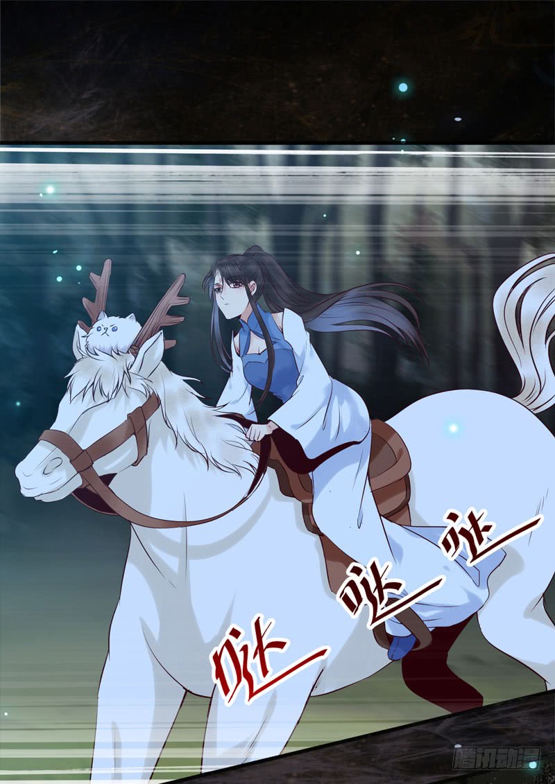 引蛇出洞24