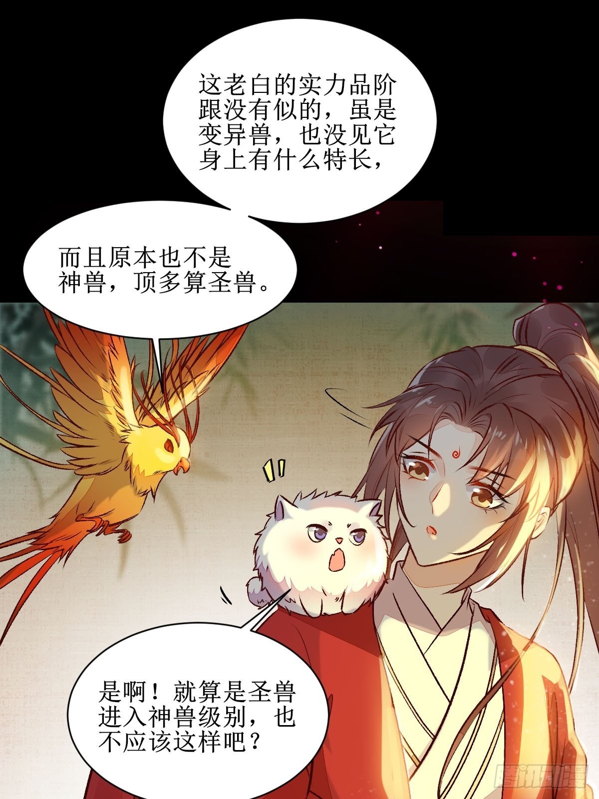 老白进阶！10
