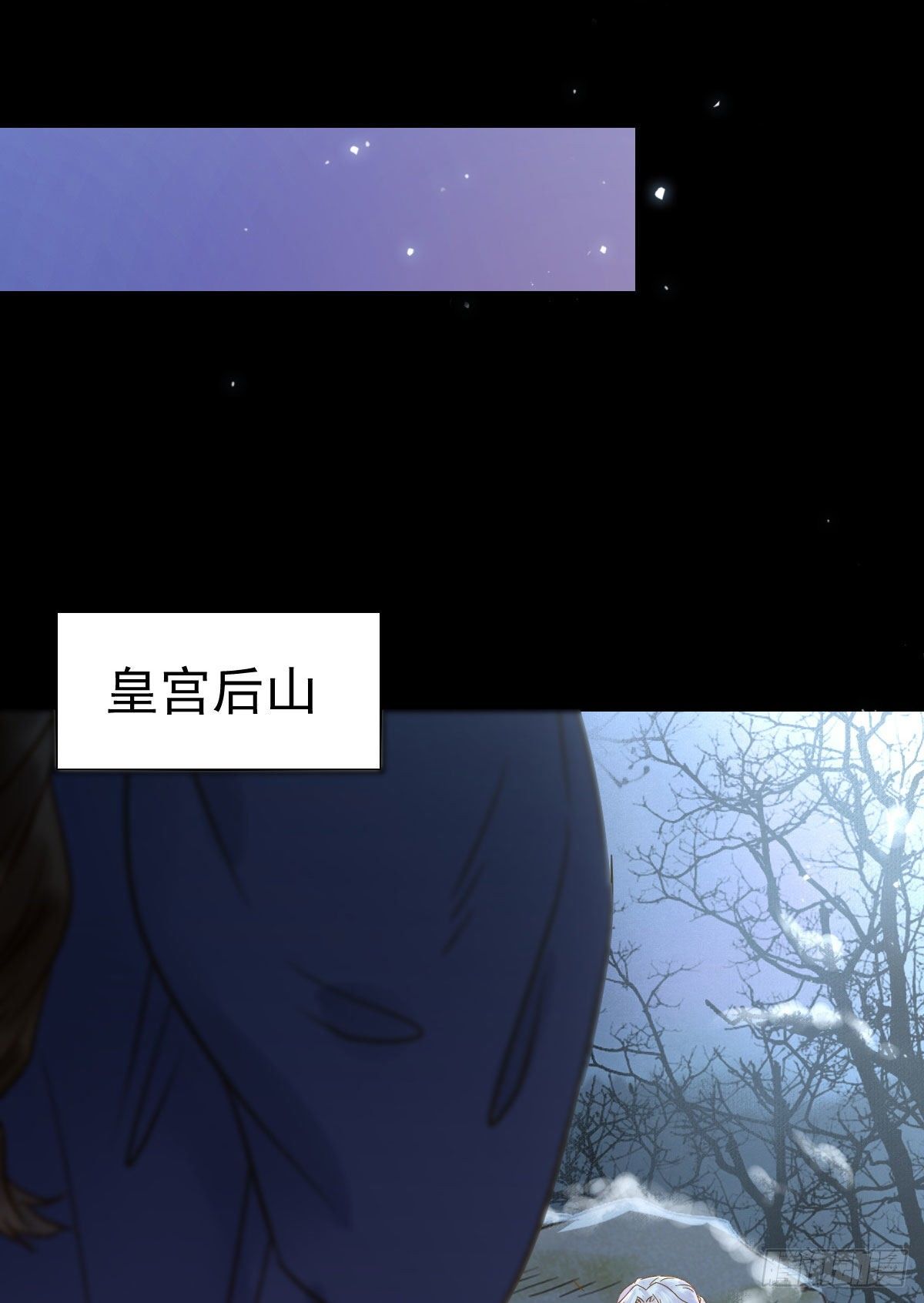 凤星现，异魂入世28