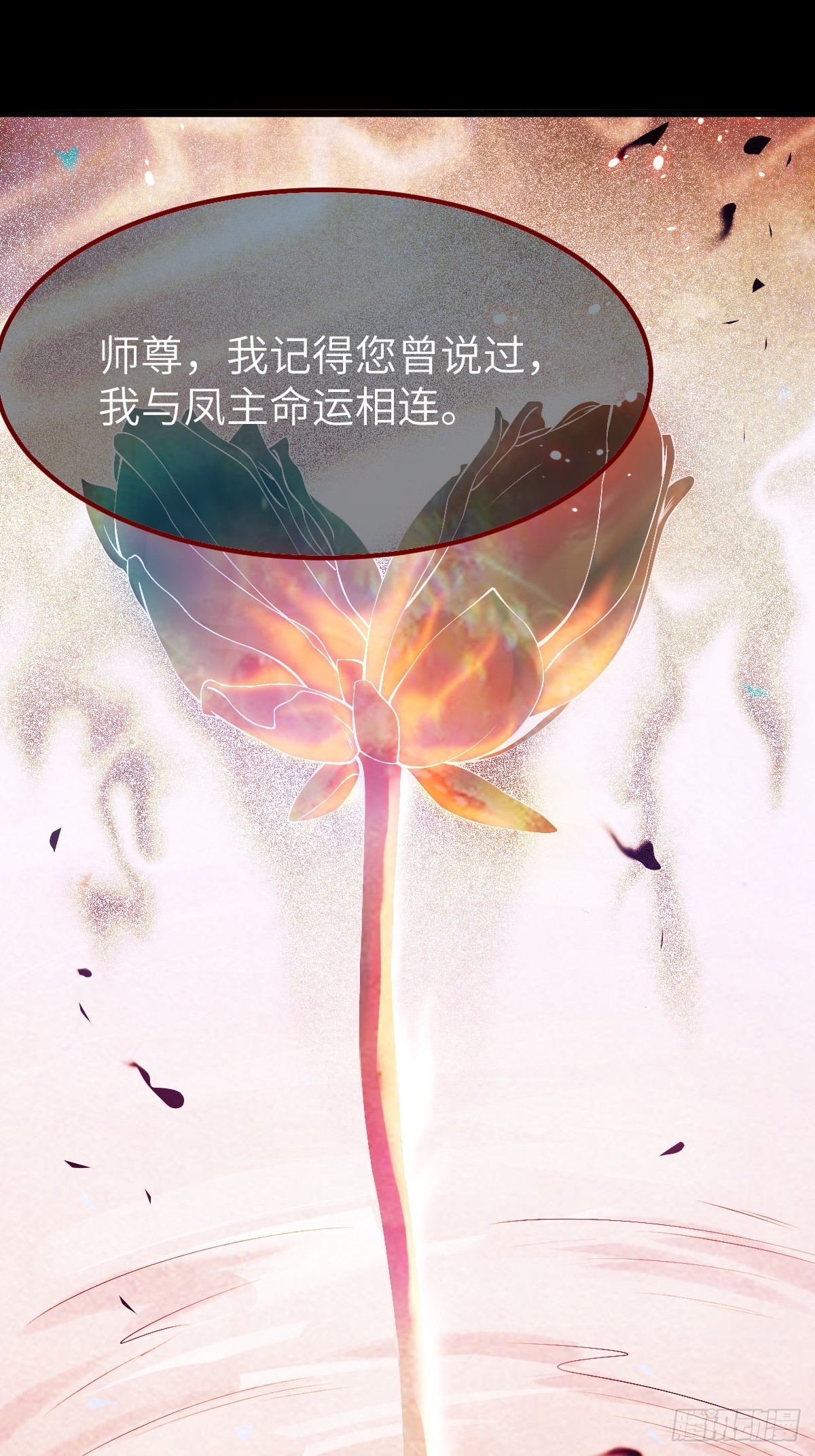 天命不可违33