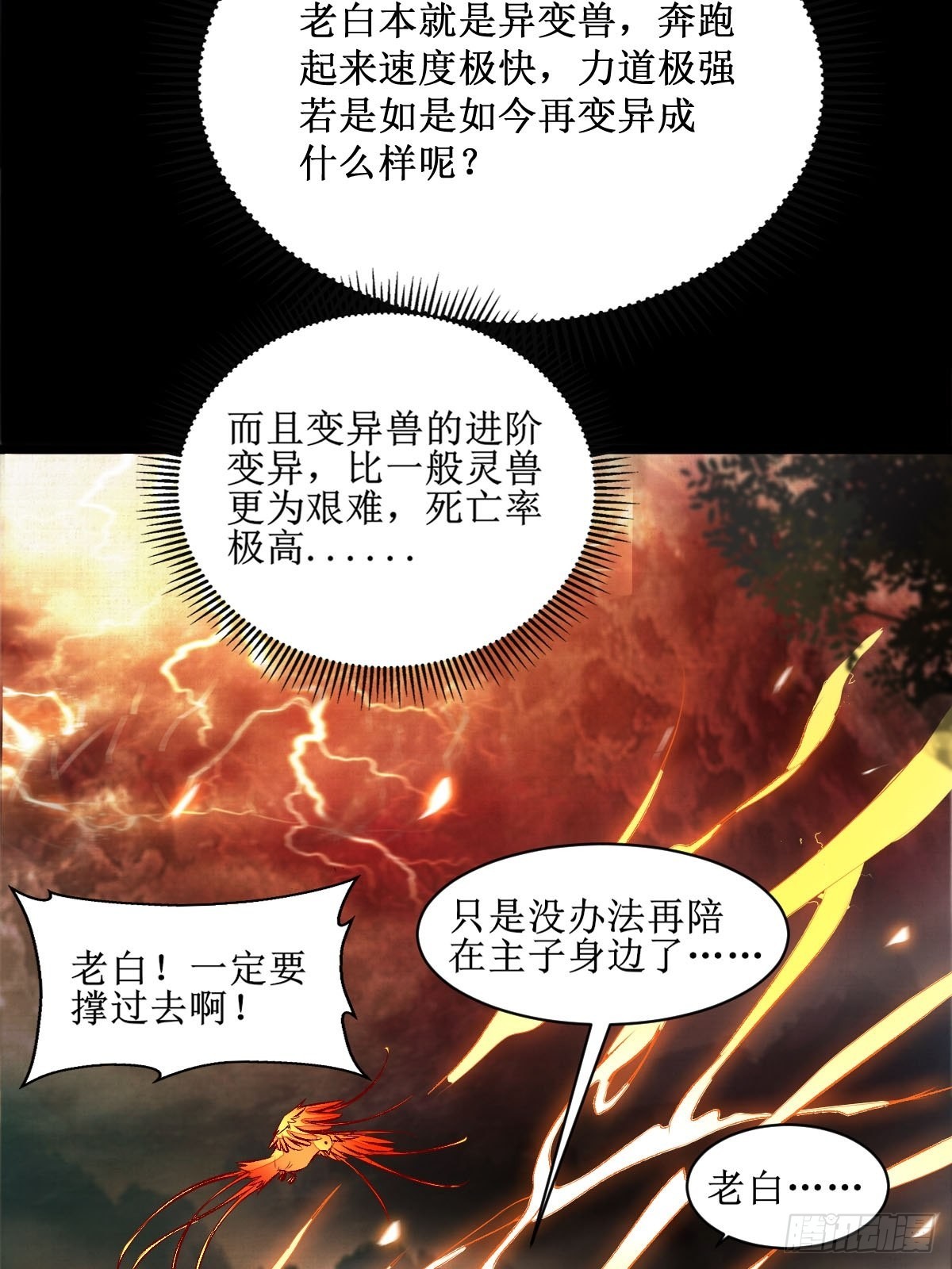 老白进阶！16