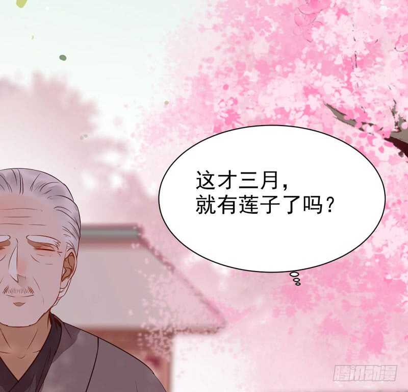 寿元丹成45