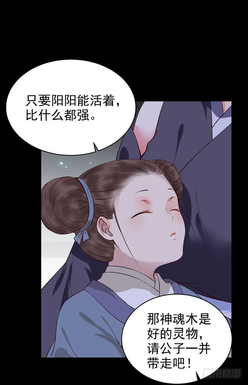神魂木20