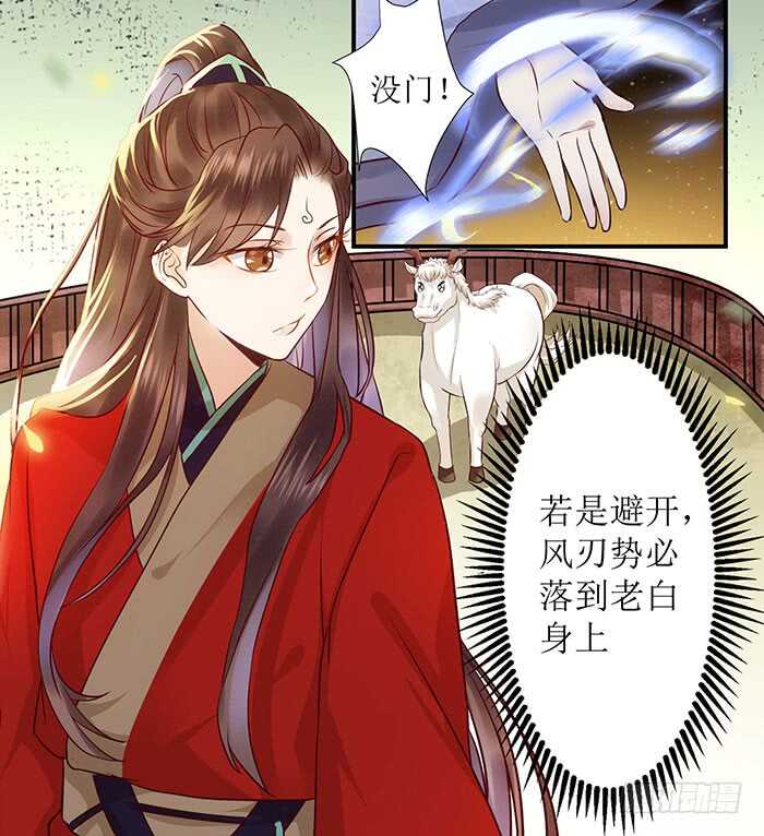 老白被偷10