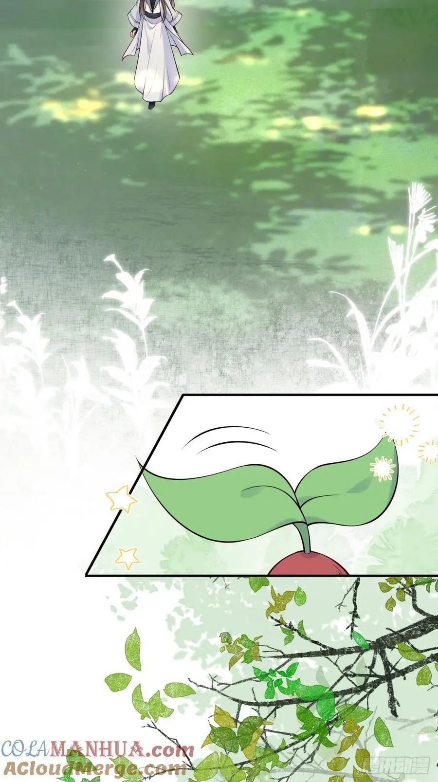607 神仙草28