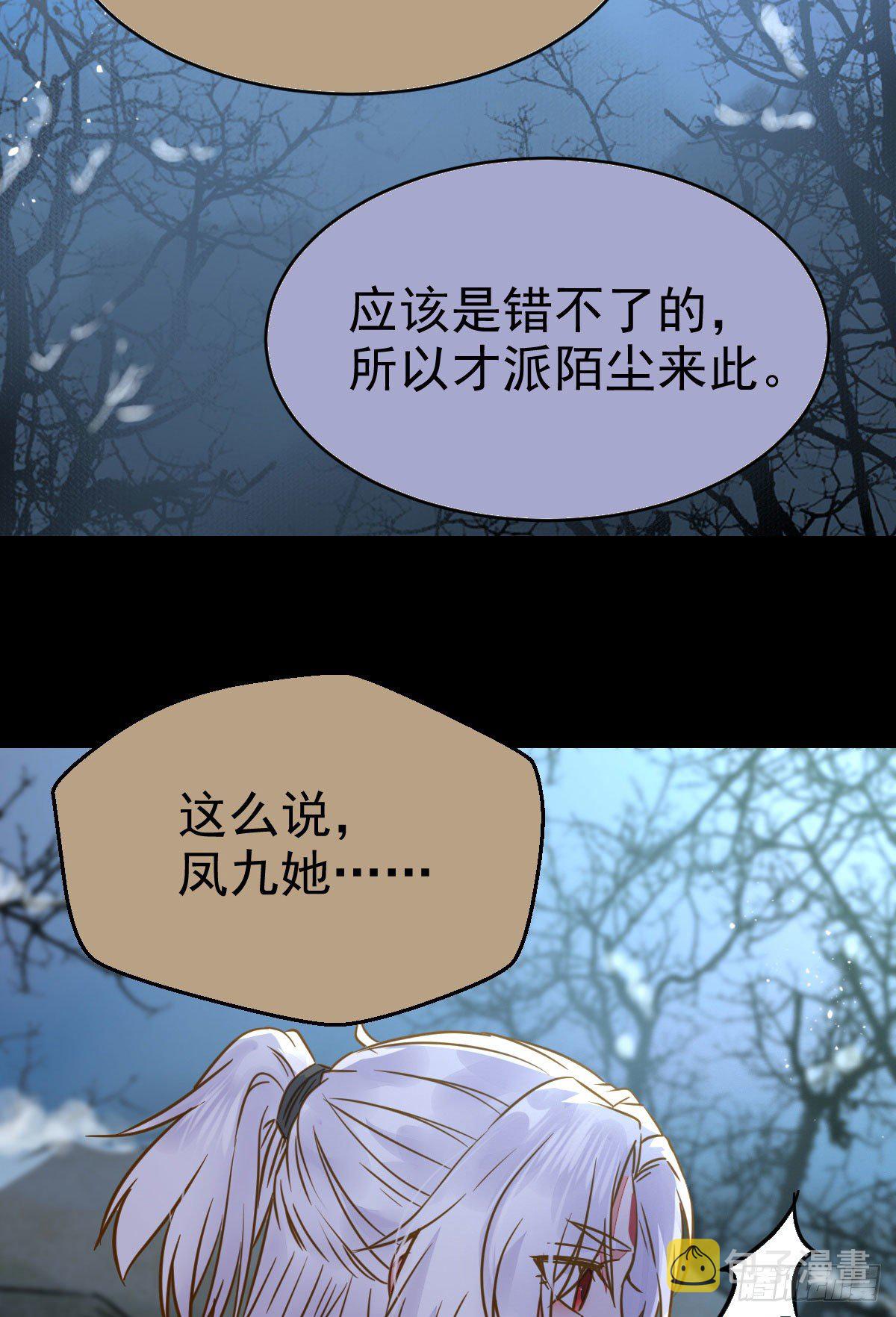 凤星现，异魂入世46