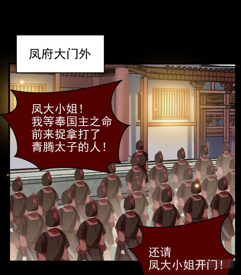 包围凤府45