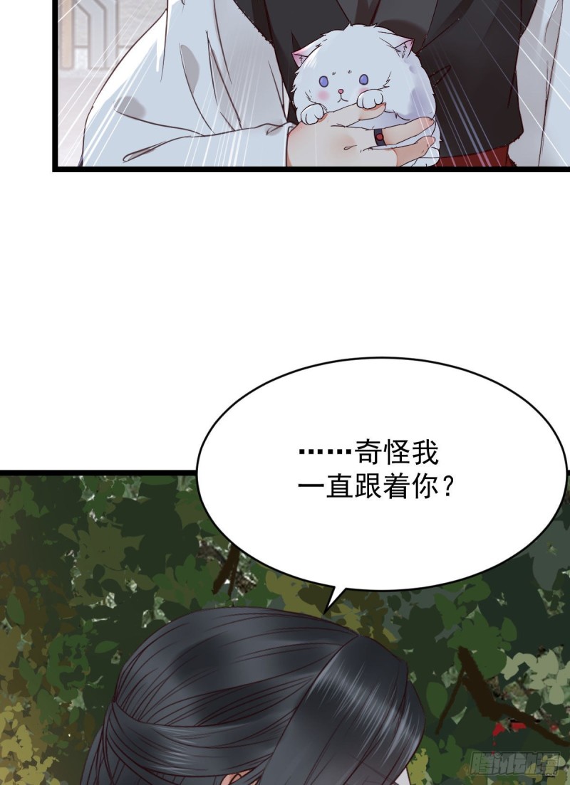 耀眼的存在43