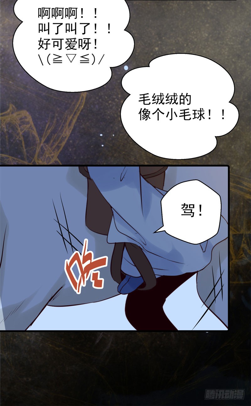 引蛇出洞23