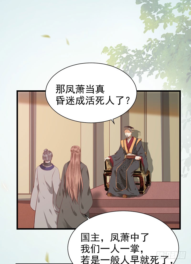 凤府旁支19