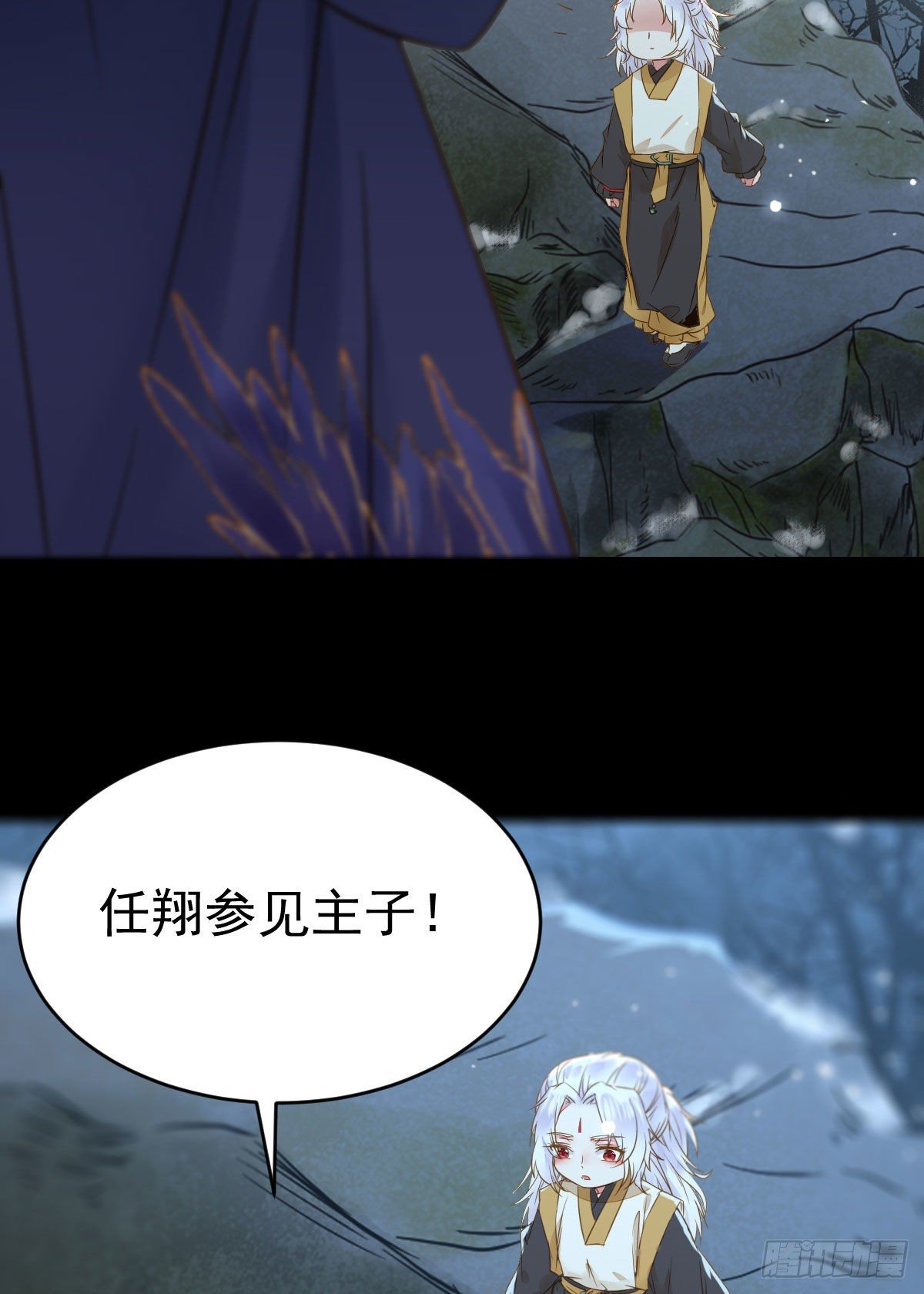 凤星现，异魂入世29
