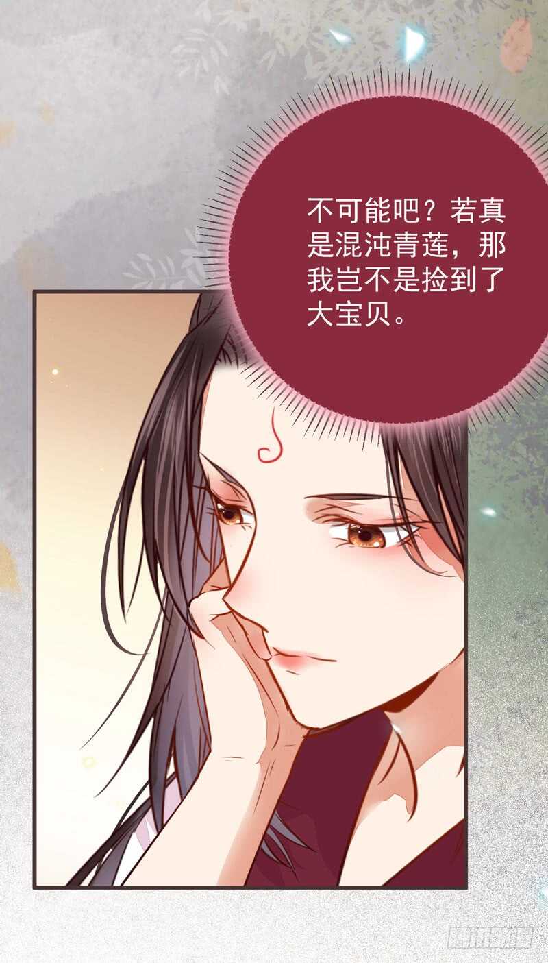 混沌青莲27