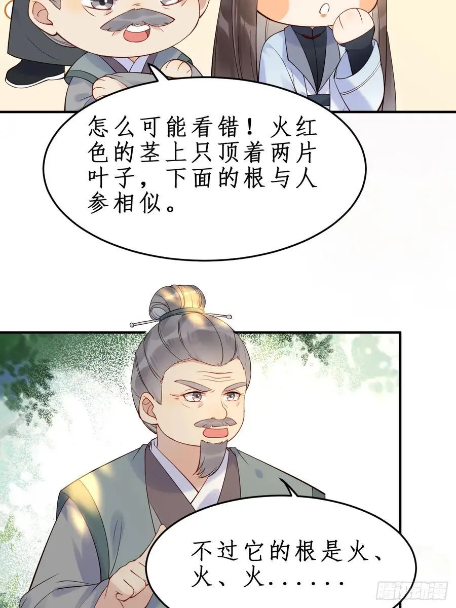 607 神仙草33
