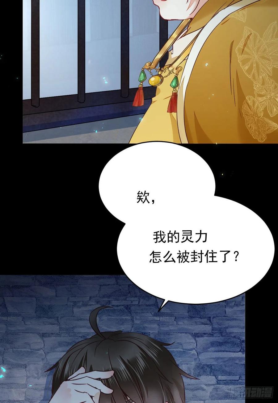 采阴补阳合欢派8