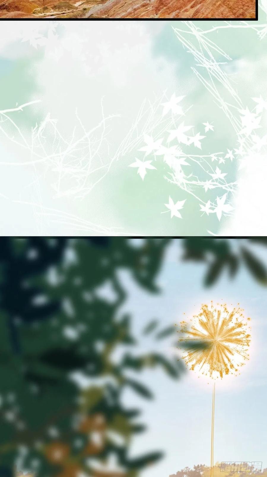是本王生的55