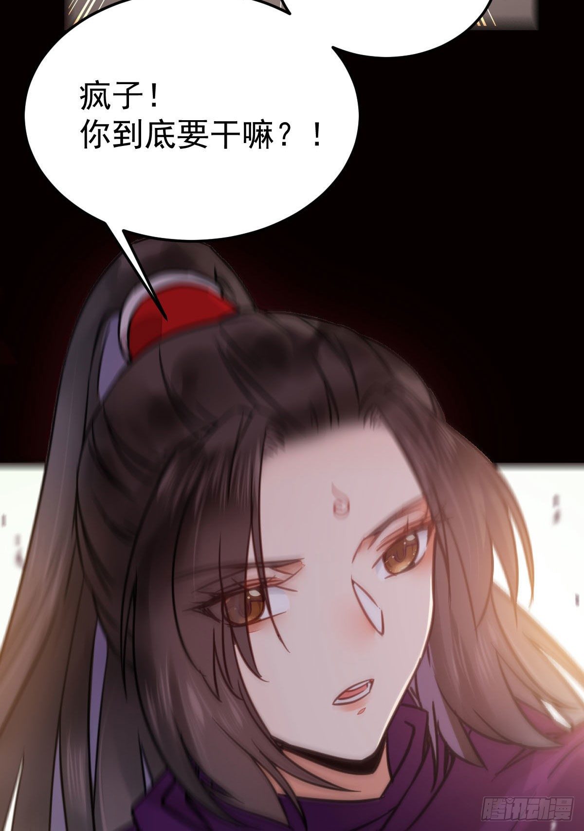 假凤九39