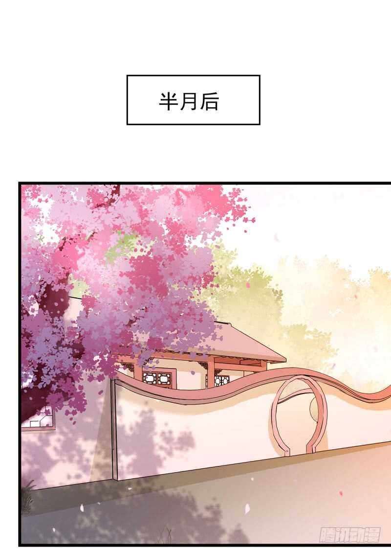 寿元丹成28