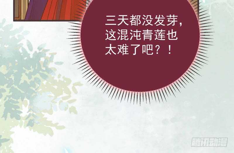 混沌青莲35