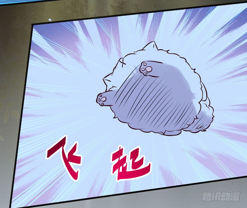 引蛇出洞14