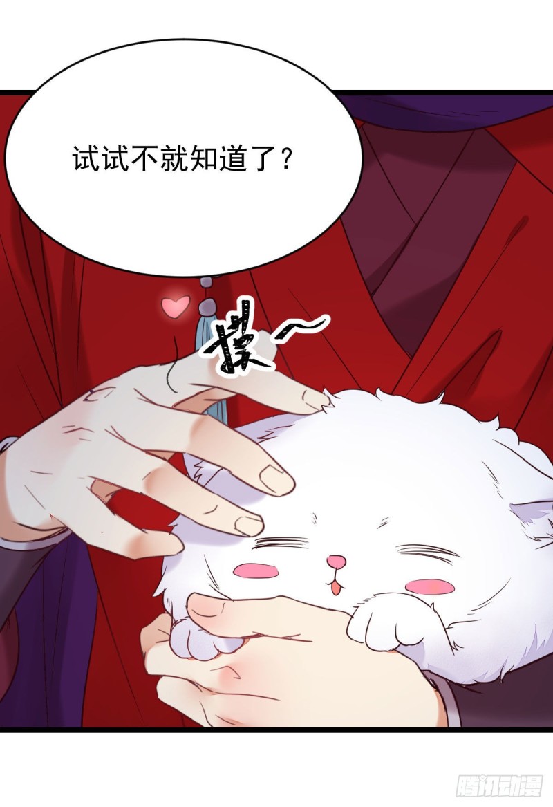 敢不敢同行历练12