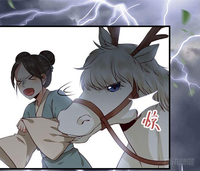 引来天雷40