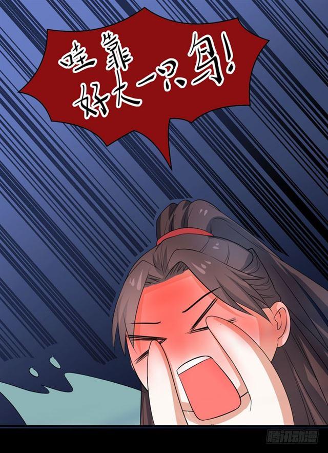 好大一只“鸟”28
