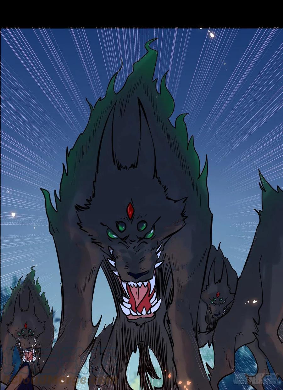 狼王现身24