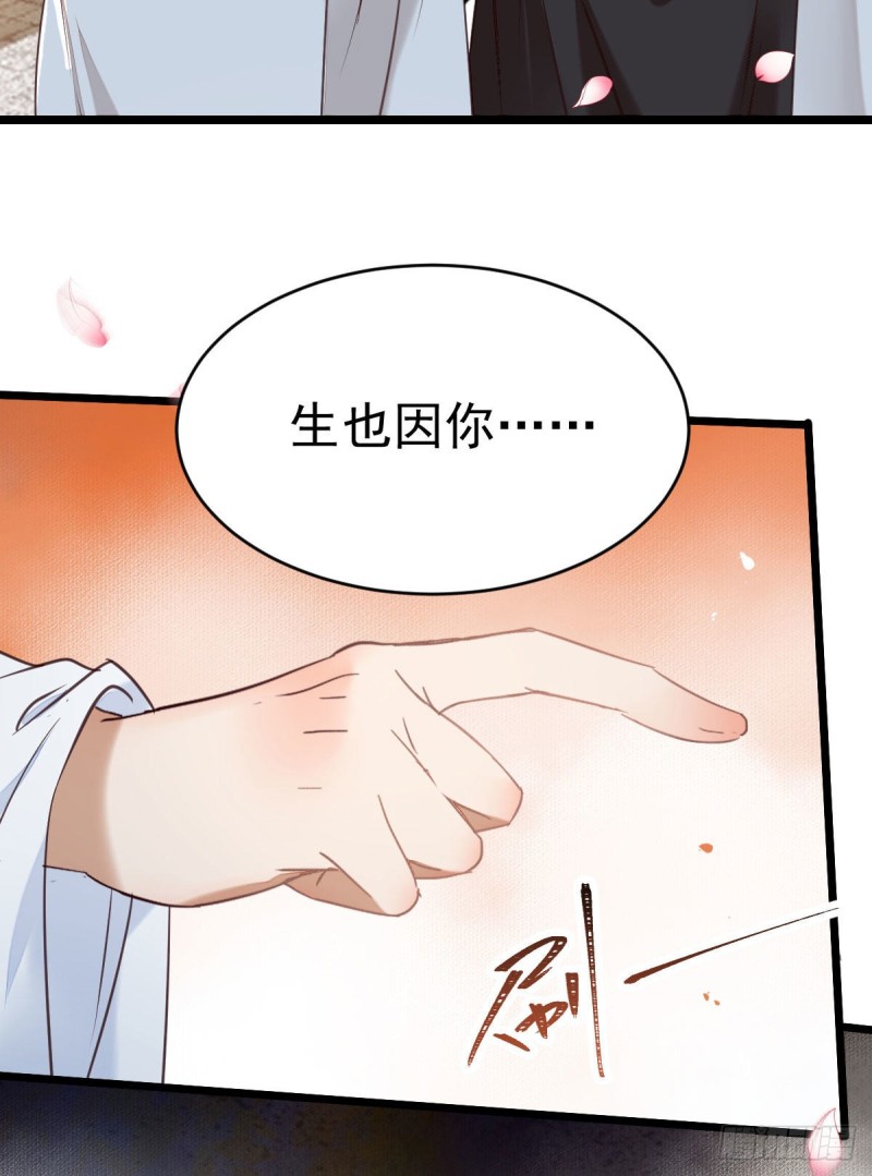 耀眼的存在48